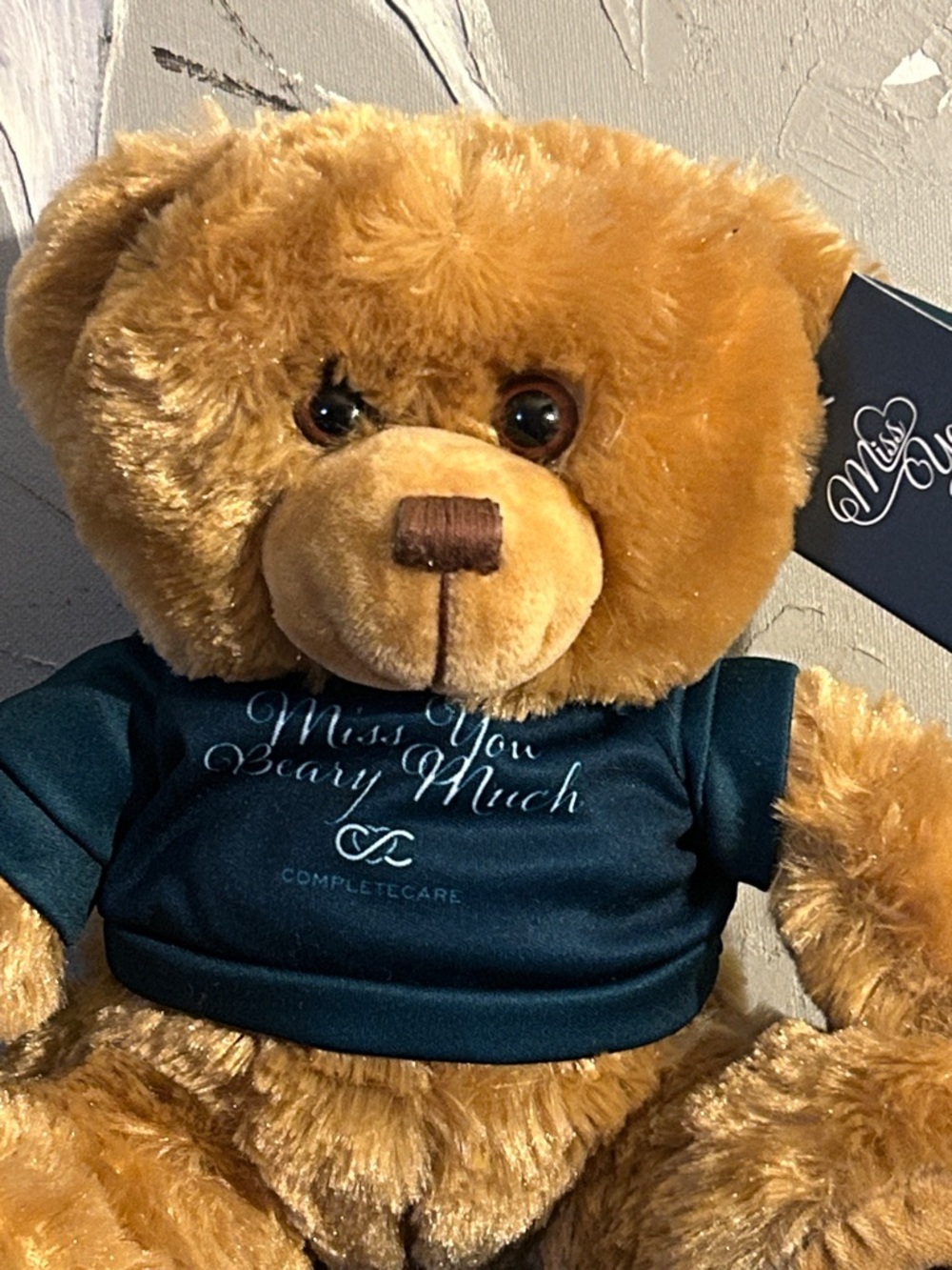 NWT Plush Brown Teddy Bear with Teal Shirt - 'Miss You Beary Much'